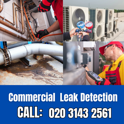 Commercial Leak Detection Services in Crystal Palace | Crystal Palace Leak Detection