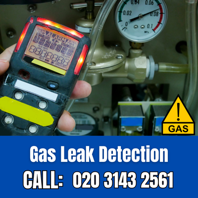 Expert Gas Leak Detection Services in Crystal Palace | Crystal Palace Leak Detection