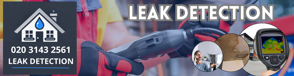 Crystal Palace Leak Detection