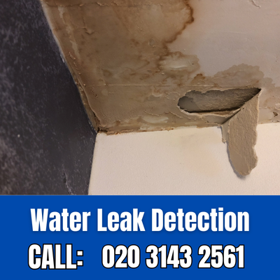 Expert Water Leak Detection Services in Crystal Palace | Crystal Palace Leak Detection